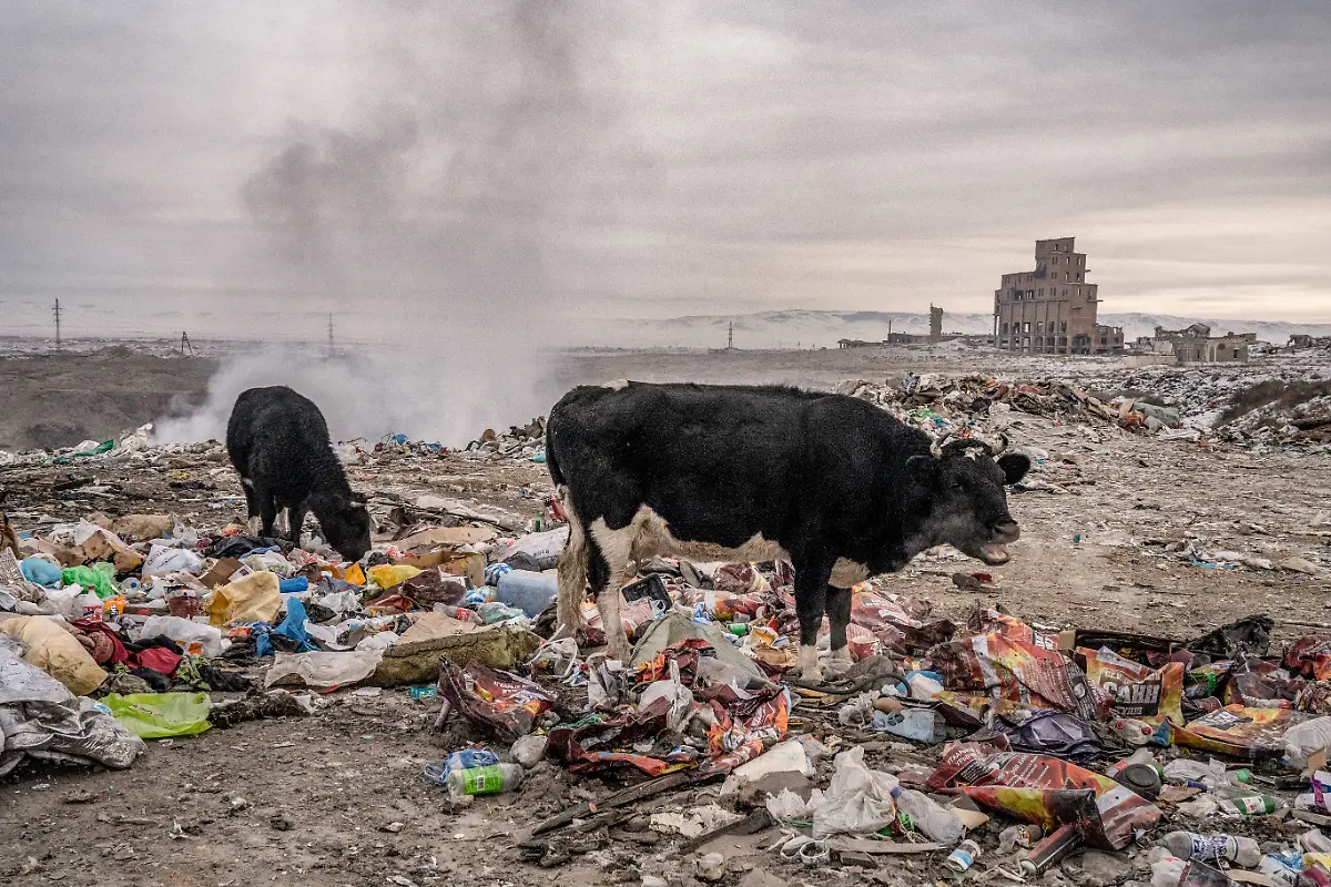 Mongolia_s Children at Risk_The Devastating Impact of Air Pollution_07 Natalya Saprunova